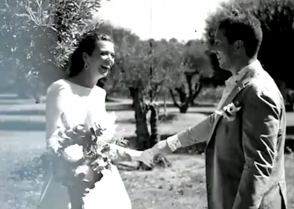 Oliveraie pour les photos